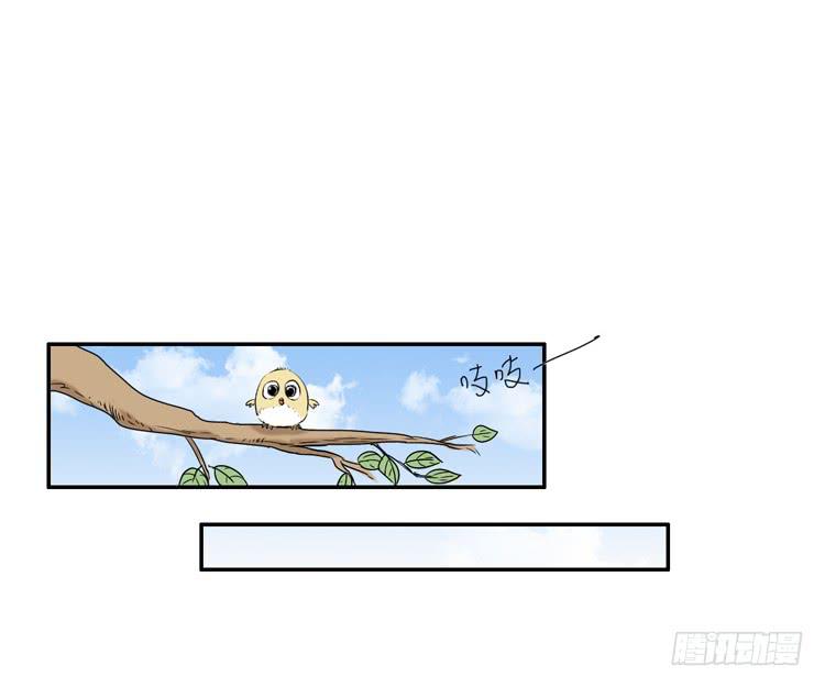 火堆中的合照37