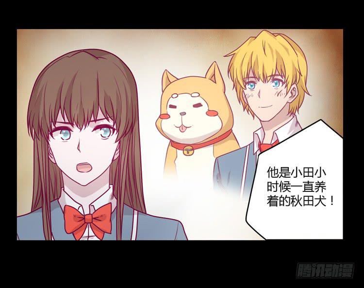 辰风，你要守护好小田！4
