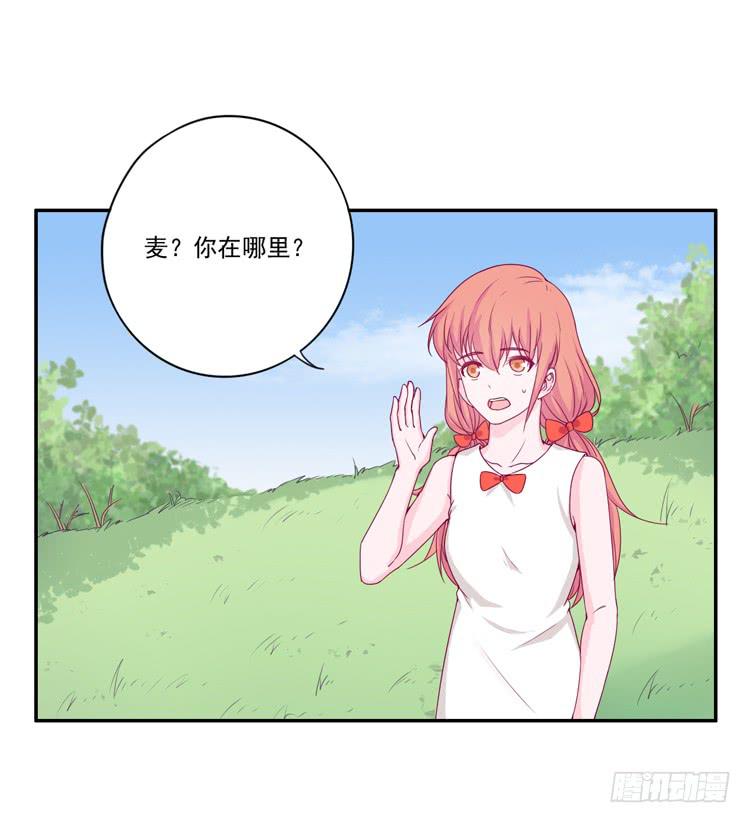 火堆中的合照4