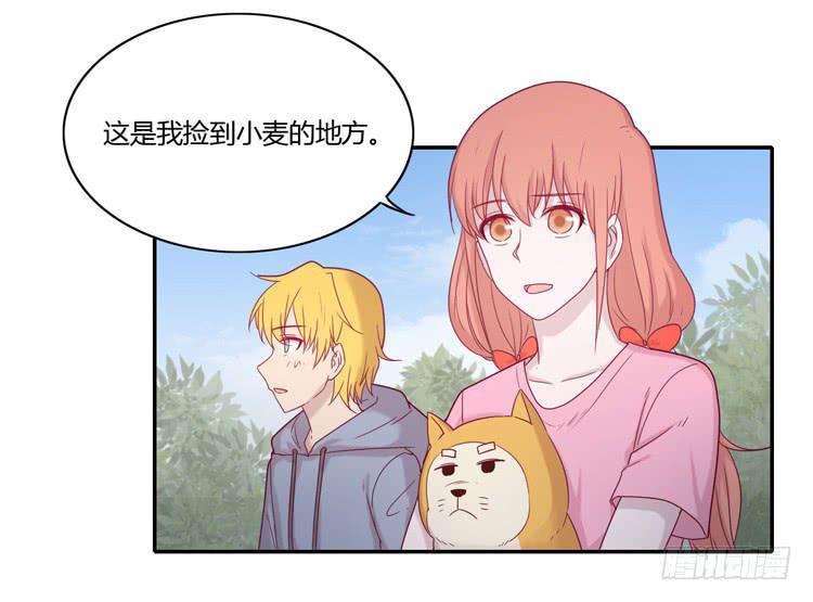 麦！许愿吧！27