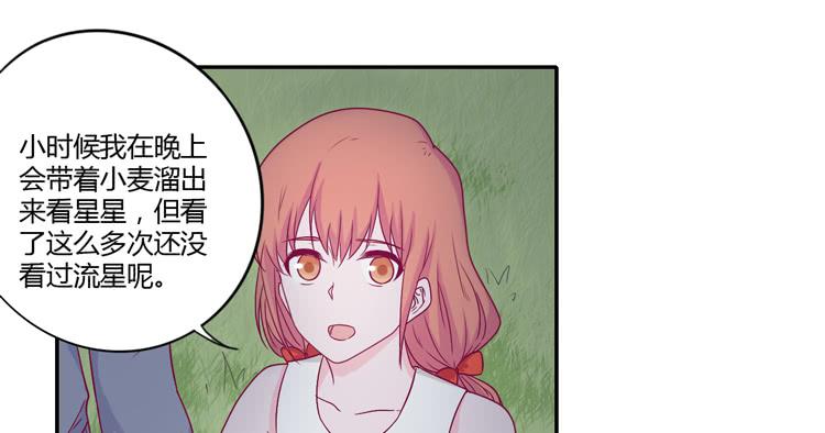 向流星许愿29