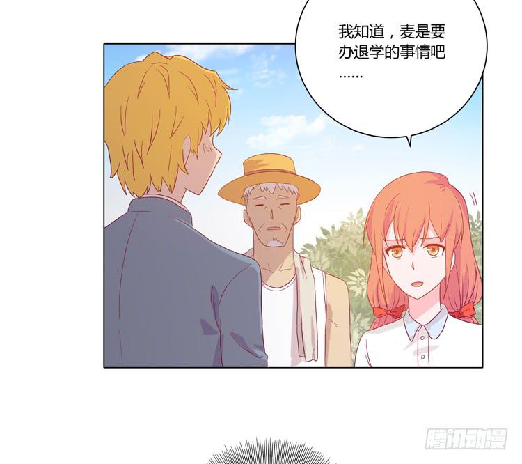 我要带小麦回城里！9