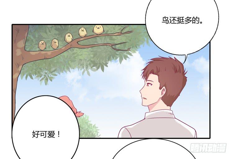 你们两个大笨蛋24