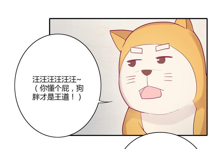 麦！许愿吧！9
