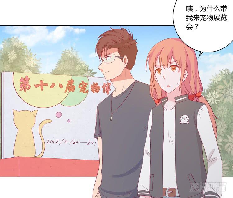 小田失踪了？14