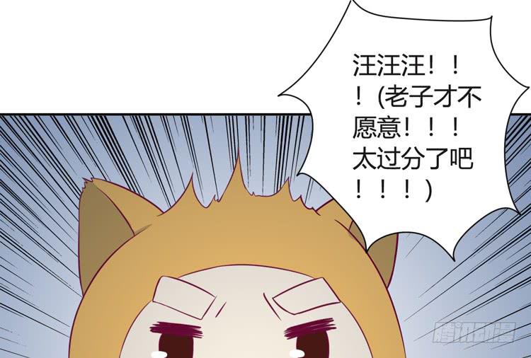 小园的办法27