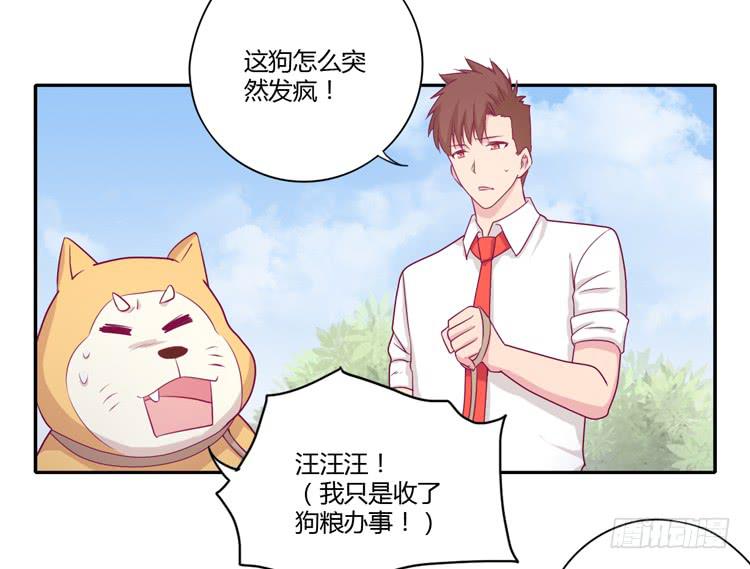 你们两个大笨蛋2