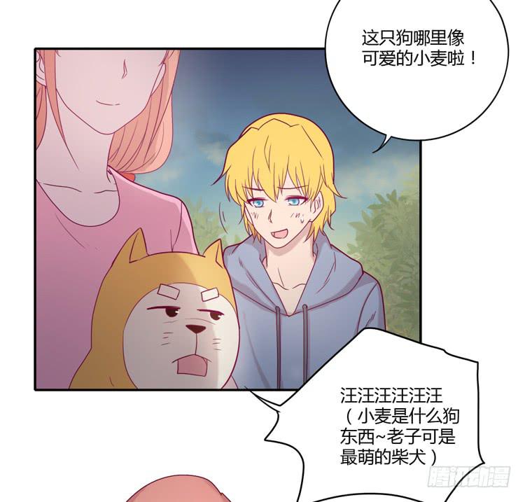 麦！许愿吧！17