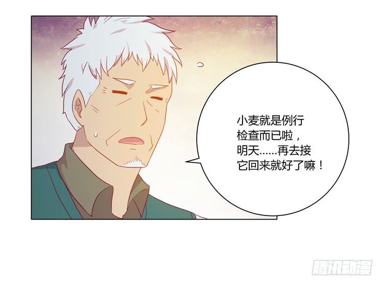 爷爷，我要见小麦！35