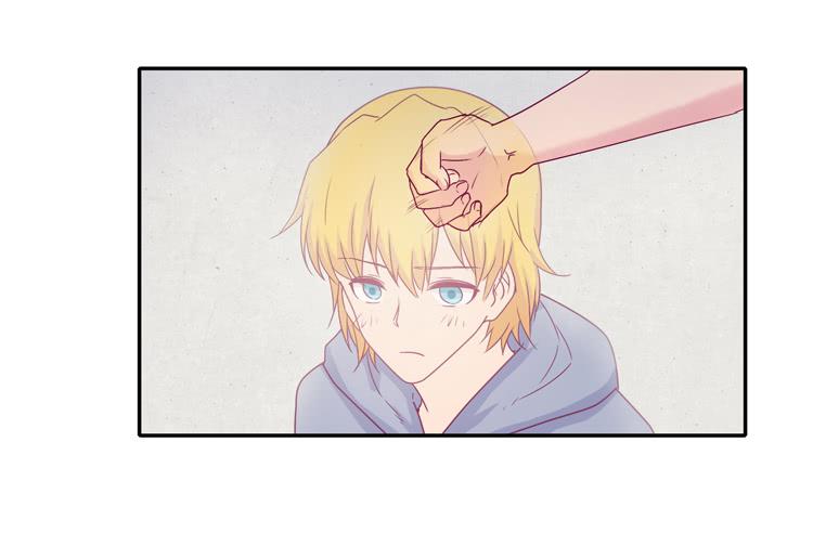 向流星许愿9