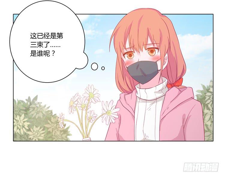 紫色雏菊的花语23