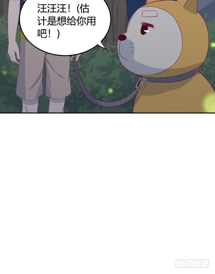 小园的办法17