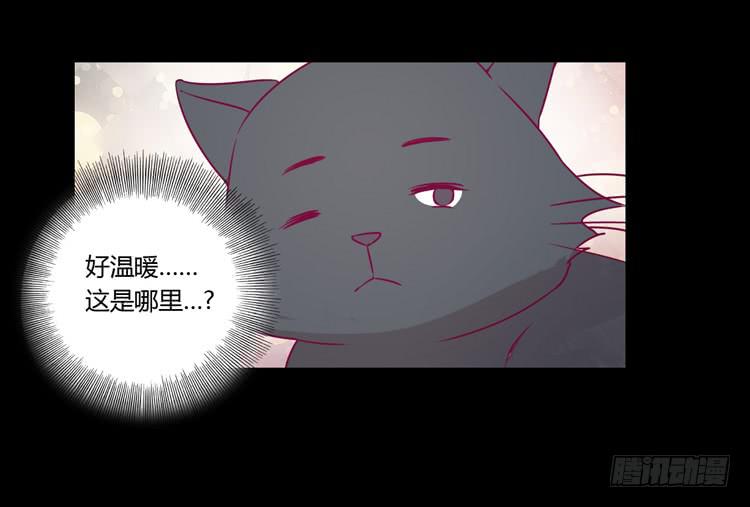 寿命等价交换？！11