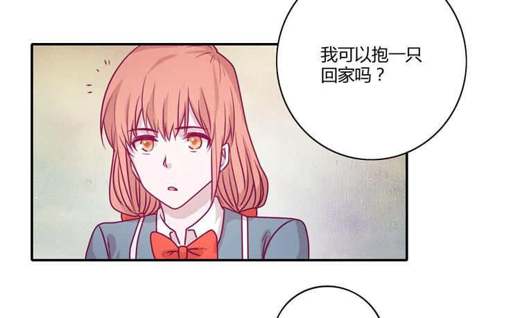 蕾蕾不见了？！29