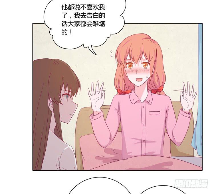紫色雏菊的花语2