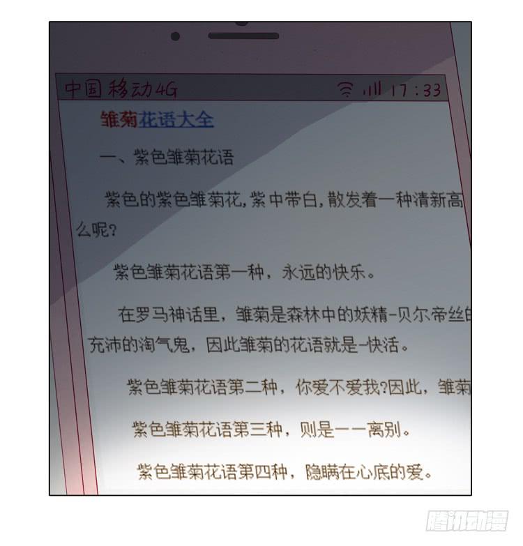紫色雏菊的花语40