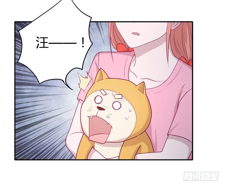 麦！许愿吧！46