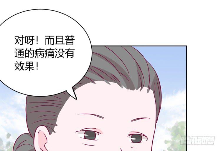 我有护卫了43