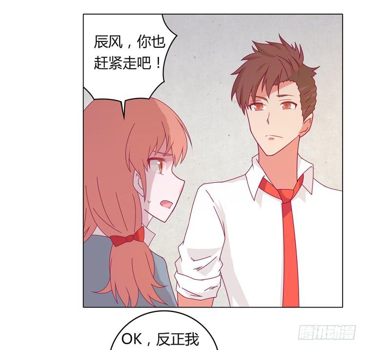吃飞醋的麦12