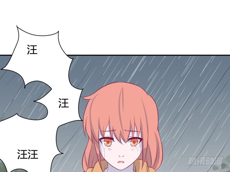 上山的寻觅47