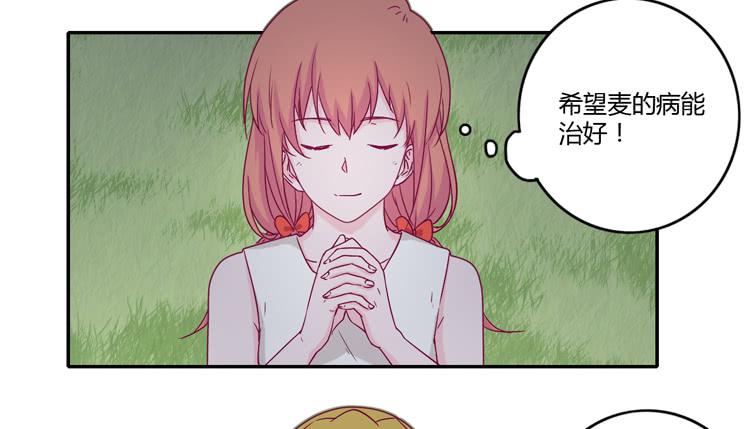 向流星许愿24