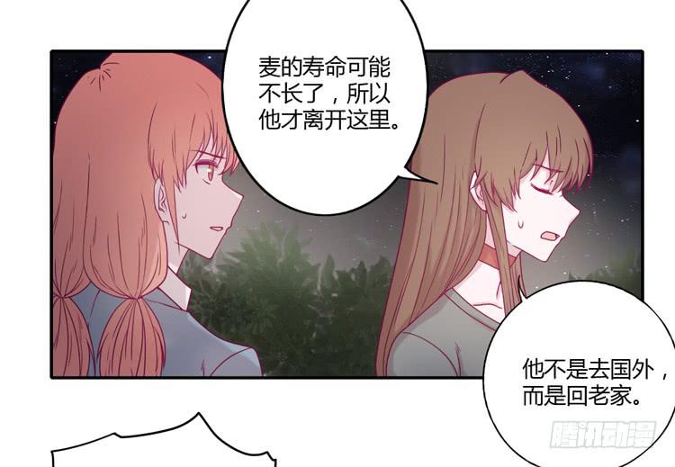 是我太懦弱了2