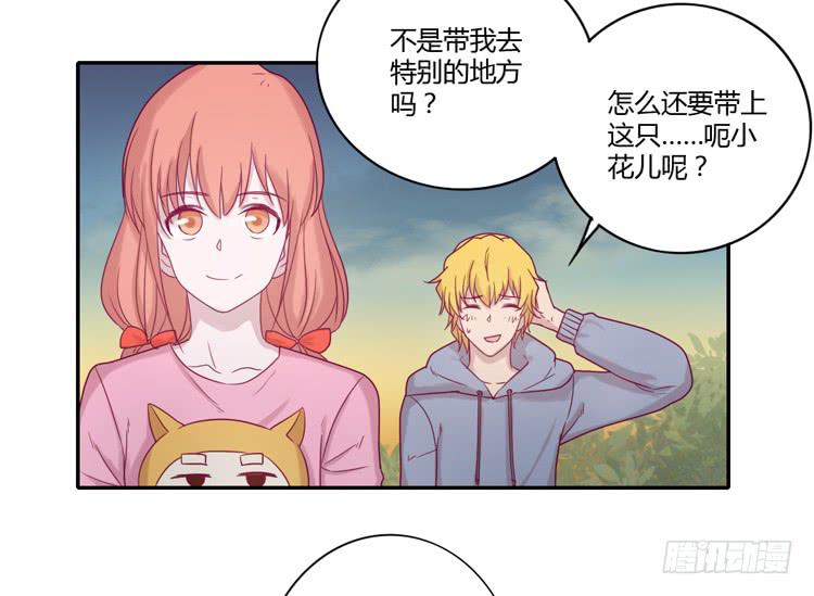 麦！许愿吧！15