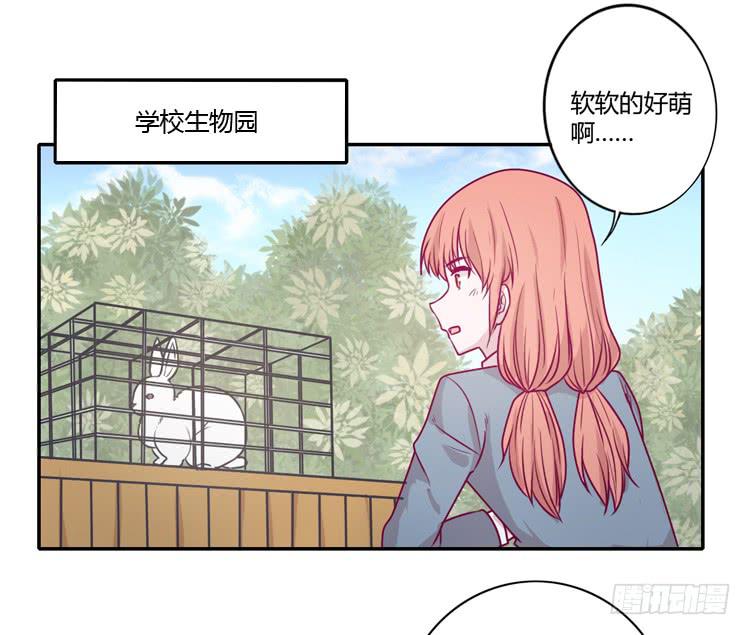 蕾蕾不见了？！28