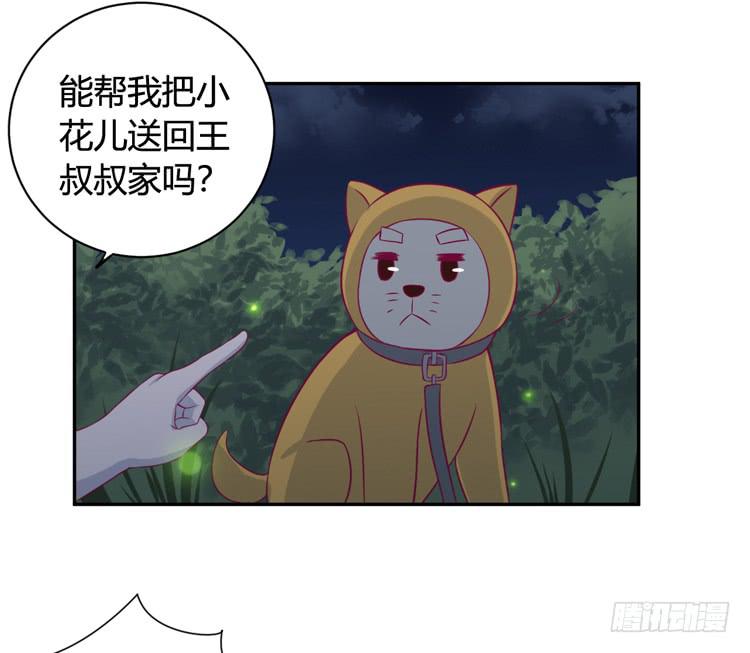 小园的办法8