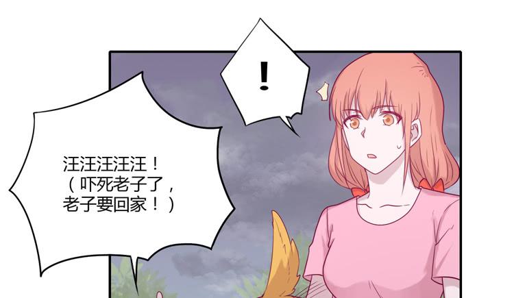 麦！许愿吧！47