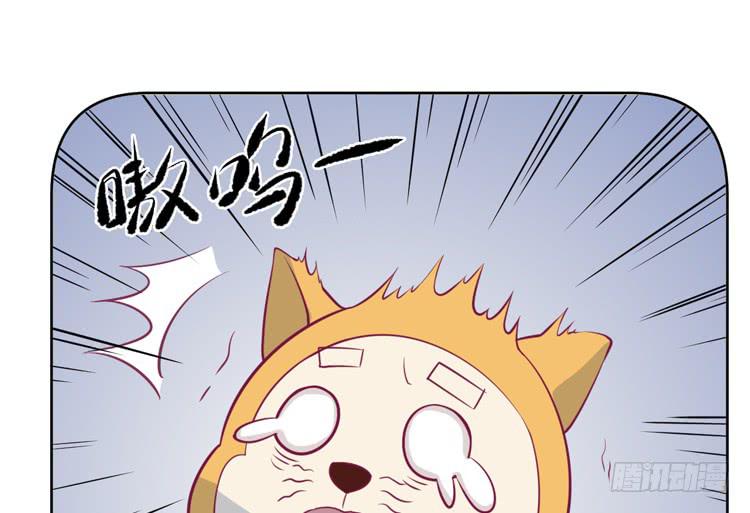 上山的寻觅11