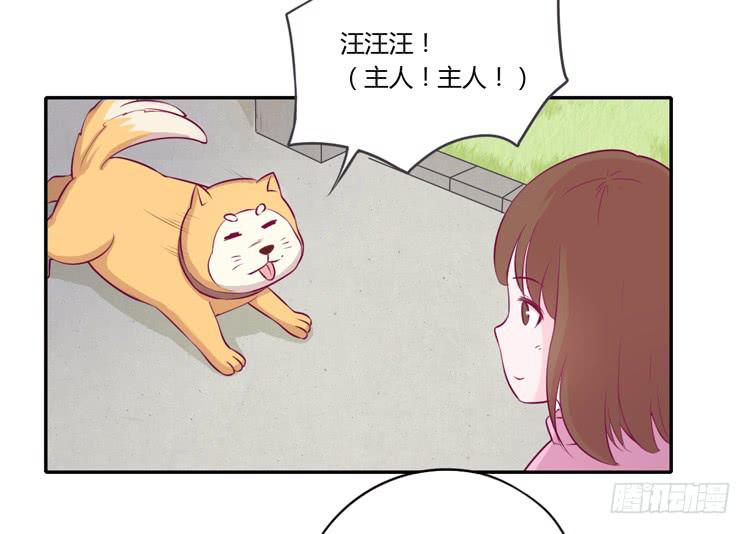 拉近距离大作战19