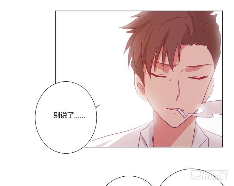 一条狗的使命43