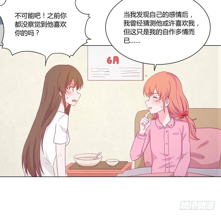 紫色雏菊的花语5