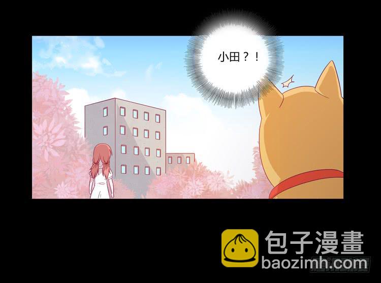 打回原形19