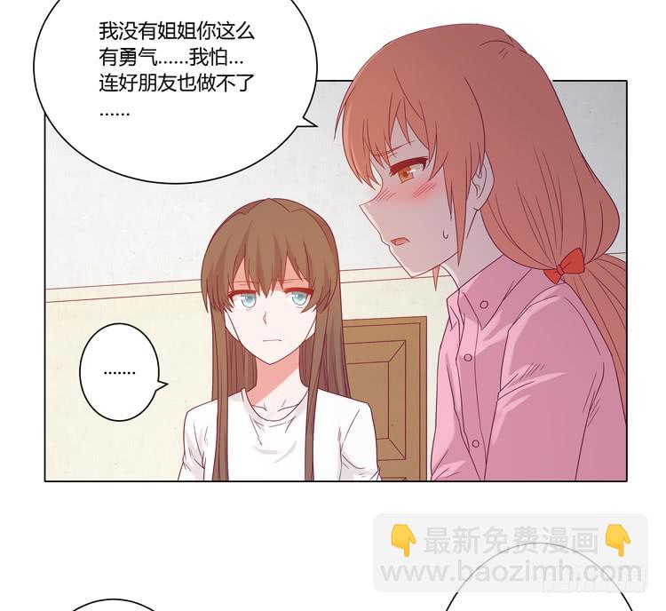 紫色雏菊的花语9