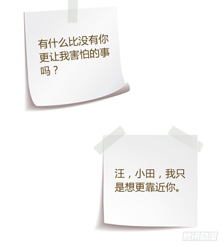 紫色雏菊的花语49