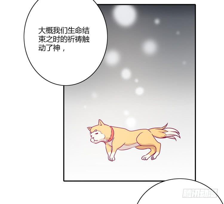 辰风，你要守护好小田！39