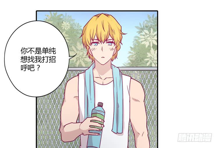 辰风，你要守护好小田！22
