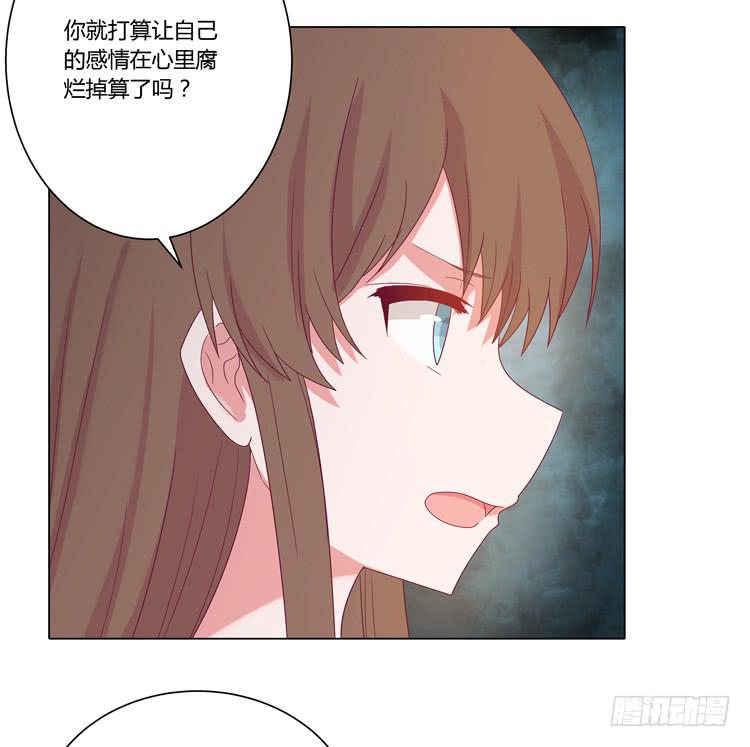 紫色雏菊的花语8