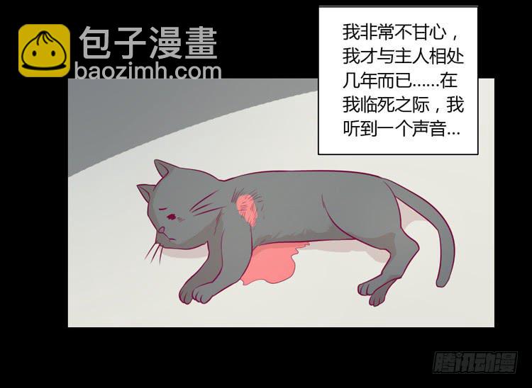 寿命等价交换？！27
