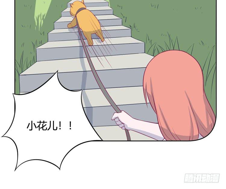 上山的寻觅13