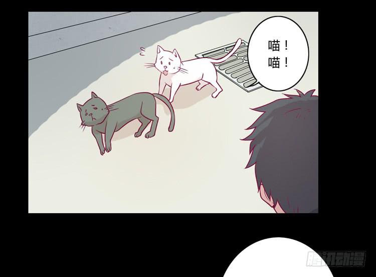 寿命等价交换？！9