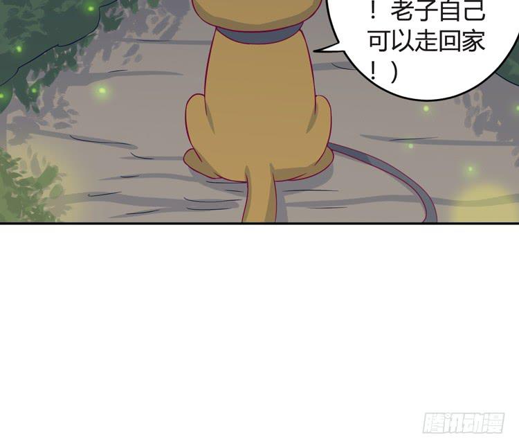 小园的办法41