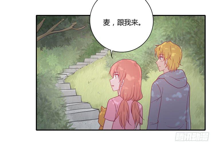 麦！许愿吧！23