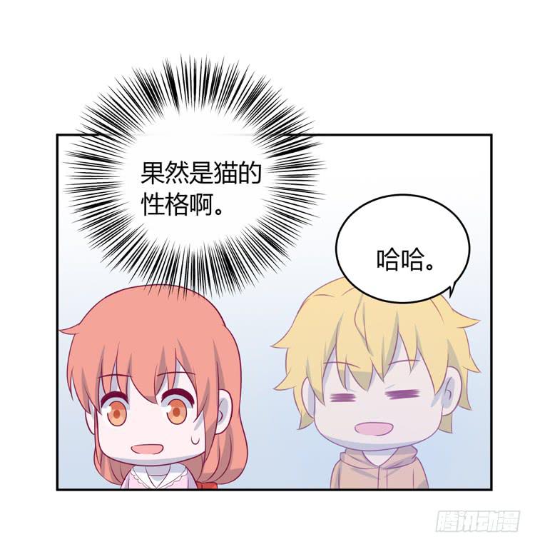 星空下的告白43