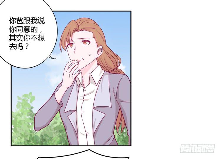 辰风的选择28
