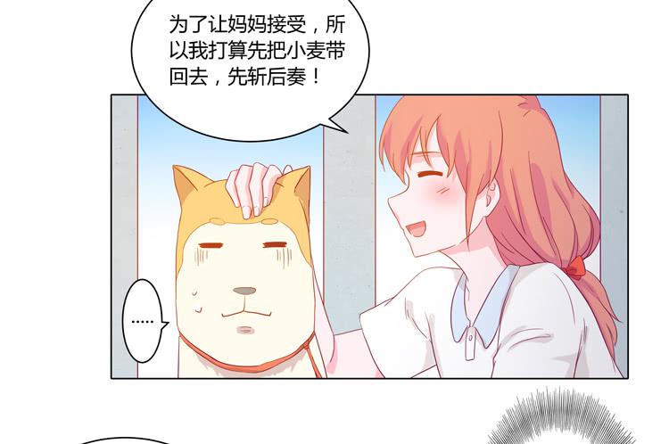 我要带小麦回城里！45