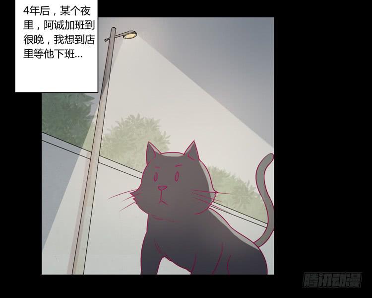 寿命等价交换？！20