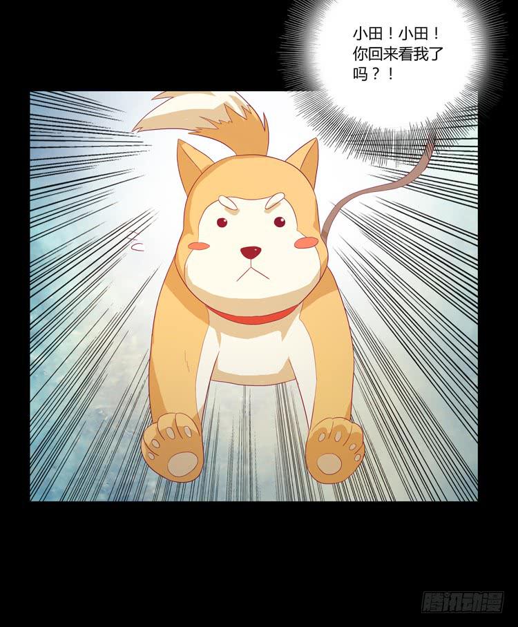 打回原形21